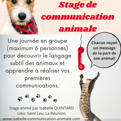 Stage découverte communication animale 8 janvier 23